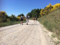 Wandelen in Toscane 13